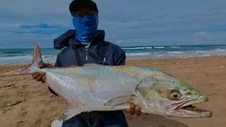 Thumbnail: My Lucky Day Fishing ! | Amazimtoti 