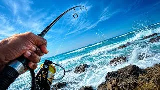 Thumbnail: Fishing Amanzimtoti | How to catch a Garrick Tutorial and More  ! 