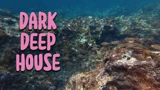 Thumbnail: 🐋 Deep Abyss — 9 Min Hypnotic Underwater Cinematic (Dark Deep House Mix)