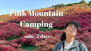 Thumbnail: Solo Camping on Japan's Pink Flower Mountain (2-Day Hiking Vlog)