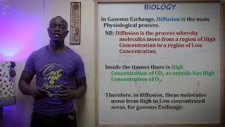 Thumbnail: Gaseous Exchange Confusion and Definition