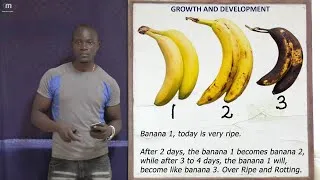 Thumbnail: Part 3; Hormones & More; Growth and Development Revision