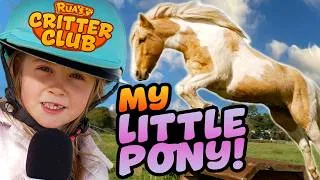 Thumbnail: How to Have Ponies IRL!