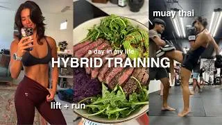 Thumbnail: HYBRID TRAINING ROUTINE | lift + run, muay thai, free diving
