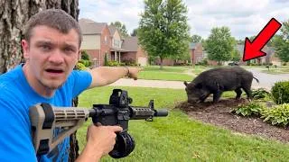 Thumbnail: Hunting Down the 250lb Hog Destroying Florida Neighborhoods!