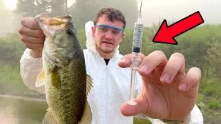 Thumbnail: Giving My Fish Growth Serum to Make Them Grow Faster