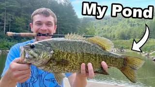 Thumbnail: Catching Trophy Smallmouth Bass to Stock in My Pond!