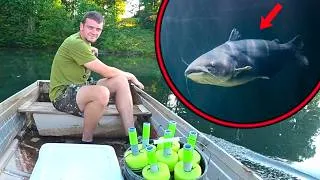 Thumbnail: Stealing Back my 80lb Catfish...