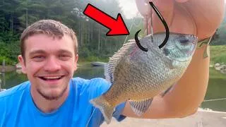 Thumbnail: Fishing with Live Bait for Bass at My Pond!