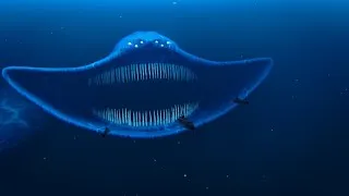 Thumbnail: POV: The Mariana Trench Incident | El Gran Maja