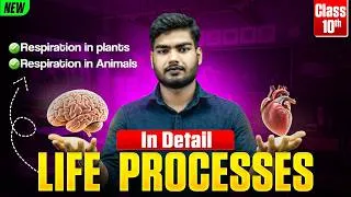 Thumbnail: Respiration in Plants & Animals Explained 🔥 | Life Processes Part-7 | Class 10 Biology 💯