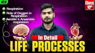 Thumbnail: Respiration in Organisms Explained | Part-6🔥 Aerobic vs Anaerobic Respiration | Life Processes 💯
