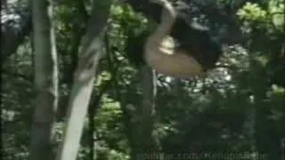 Thumbnail: Jackie Chan-The Kung Fu Years (Part 7 of 9)