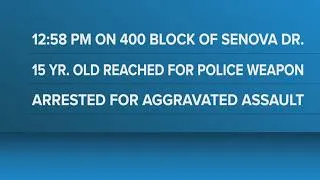 Thumbnail: Teen arrested for injuring officer during disturbance in north-side San Antonio, police say
