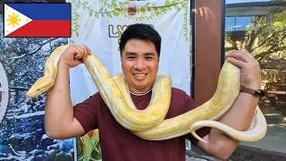 Thumbnail: One Day in Pililla | Food, Animals, and Epic Wind Farm! 🇵🇭