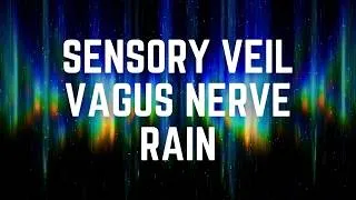 Thumbnail: SENSORY VEIL VAGUS NERVE RAIN | 12 Hours | A Soft Sound Blanket for Deep Rest | Dark Screen