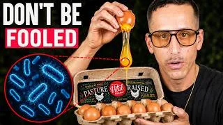 Thumbnail: STOP Buying These 5 Egg Brands Immediately (Salmonella Outbreak)
