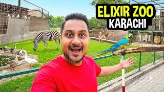 Thumbnail: I Found a HIDDEN Private Zoo in Karachi 😍 | Elixir Zoo Karachi