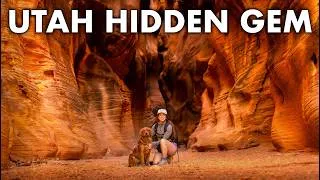 Thumbnail: WILLIS CREEK NARROWS | Epic Slot Canyon near Bryce Canyon