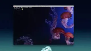 Thumbnail: Modifier le fichier hosts pour accéder un site web sur un serveur déterminé