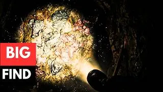 Thumbnail: HE SOLD HIS HOUSE… BUT WE FOUND WHAT WAS BURIED UNDER THE GARDEN! 😱💰 | BIG FIND