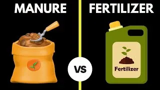 Thumbnail: Difference Between Manure and Fertilizer