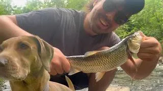 Thumbnail: Lost Dog Tries To Eat My Fish - Creek Fishing Adventures