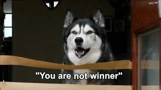 Thumbnail: My Husky Used is "hand" To Dismantle My Work!