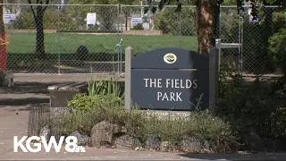 Thumbnail: Portland park remains closed after Centennial Mills demolition