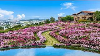 Thumbnail: Walk Through Dream Flower Garden Ideas 🌸 Beautiful Inspiration for Your Own Garden