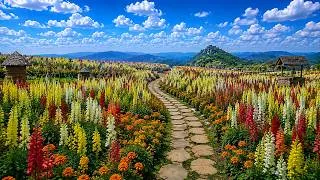 Thumbnail: Walk Through Enchanting Flower Gardens in Full Bloom 🌸 You'll Wish They Were Yours
