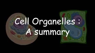 Thumbnail: Cell Organelles: A Summary | Cell: Structure and Function | Class 9 | Life Science | Telangana