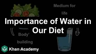 Thumbnail: Importance of water in diet | Food Components | Class 7 | Science | Telangana | Khan Academy