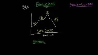 Thumbnail: Biological and Sociocultural Factors Food, Sex, and Drugs | Behavior | MCAT