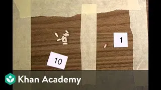 Thumbnail: Rice scale