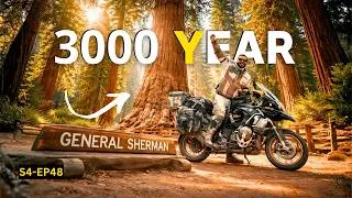 Thumbnail: I Was Not Ready for Trees This Big… | Urdu MotoVlog | Alaska to Patagonia Motorcycle Tour S4-EP48