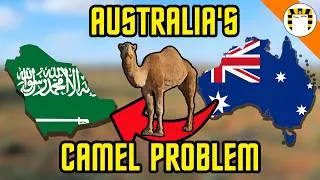 Thumbnail: Why Australia Exports Camels to Saudi Arabia