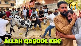 Thumbnail: KHIZAR BHAI NE APNI COW QURBAN KARDI 😭 | Bakra Eid | Emotional | Usama Mishkat | Khizar Bhai Vlogs 