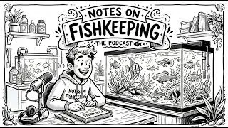 Thumbnail: Notes on Fishkeeping (Part 326): Pike Cichlid, the Cichlid that looks like Channa