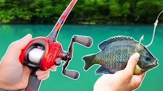 Thumbnail: Fishing for 10lb Bass w/ LIVEBAIT!
