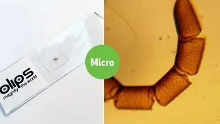 Thumbnail: BLIPS: The Paper Thin Photo Microscopy Lens For All Devices