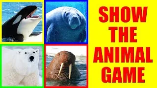 Thumbnail: Show me Aquatic Mammals Game for Kids - Where is the Animal?