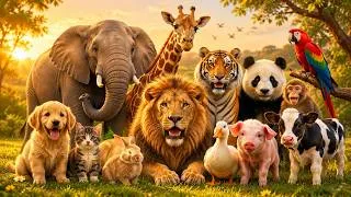 Thumbnail: Animal Sounds for Kids 🦁🐘🐶 | Learn Wild & Farm Animals | Fun Animal Sounds for Toddlers