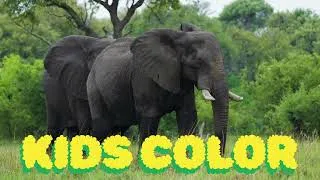 Thumbnail: Why Children's Elephant Songs Are More Than Just Fun Rhymes