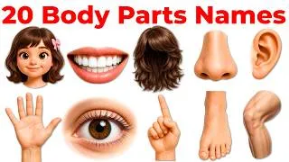 Thumbnail: 20 Body Parts Names in Hindi and English | शरीर के अंगों के नाम | Kids Learning Video