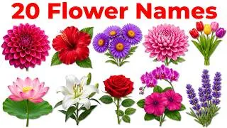 Thumbnail: Learn 20 Flower Names in English and Hindi | Flower Vocabulary 🌺