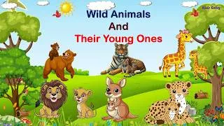 Thumbnail: Wild Animals and Their Young Ones | Babies of Animals| Animals and Baby Names - Kids Entry