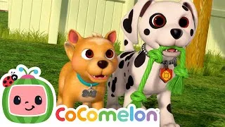 Thumbnail: Puppy Play Date 🐶 CoComelon Sing Along Songs for Kids | It's Karaoke Time 🎶