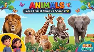 Thumbnail: Learn Animal Names and Sounds | Animals for Kids | Learn Animals | Animal Voices for Kids
