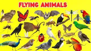 Thumbnail: Amazing Flying Animals for Kids | Birds, Bats & More! | Learning for Toddlers 